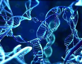 Test del DNA online: la ricerca delle origini biologiche tra dubbi e perplessità operative