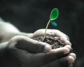 Eutanasia: battersi per morire