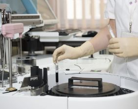La transizione umana attraverso la transizione alimentare