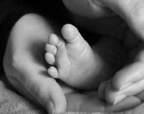 Per le Sezioni Unite è ammissibile la trascrizione dell’atto di nascita del figlio adottivo di coppia omosessuale