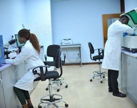 Il danneggiato che si è rivolto ad una struttura sanitaria privata ha diritto al rimborso delle spese mediche