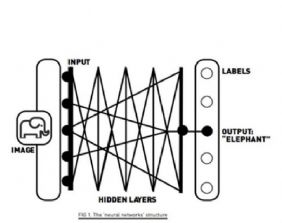 Brevi riflessioni in merito al possibile impatto dell´Intelligenza Artificiale sui diritti umani