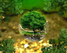 Eco-edilizia e tutela dell´ambiente tra Stato e Regioni